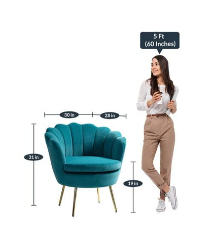Velvet Chair for Living Room and Bedroom