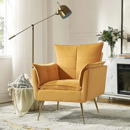 Unique backrest arm Chair